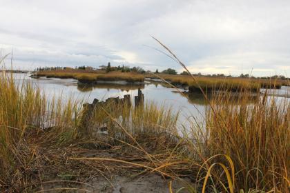 Healthy Coastal Ecosystems: Historic Greenwich Township Project