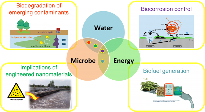 Phd thesis environmental microbiology